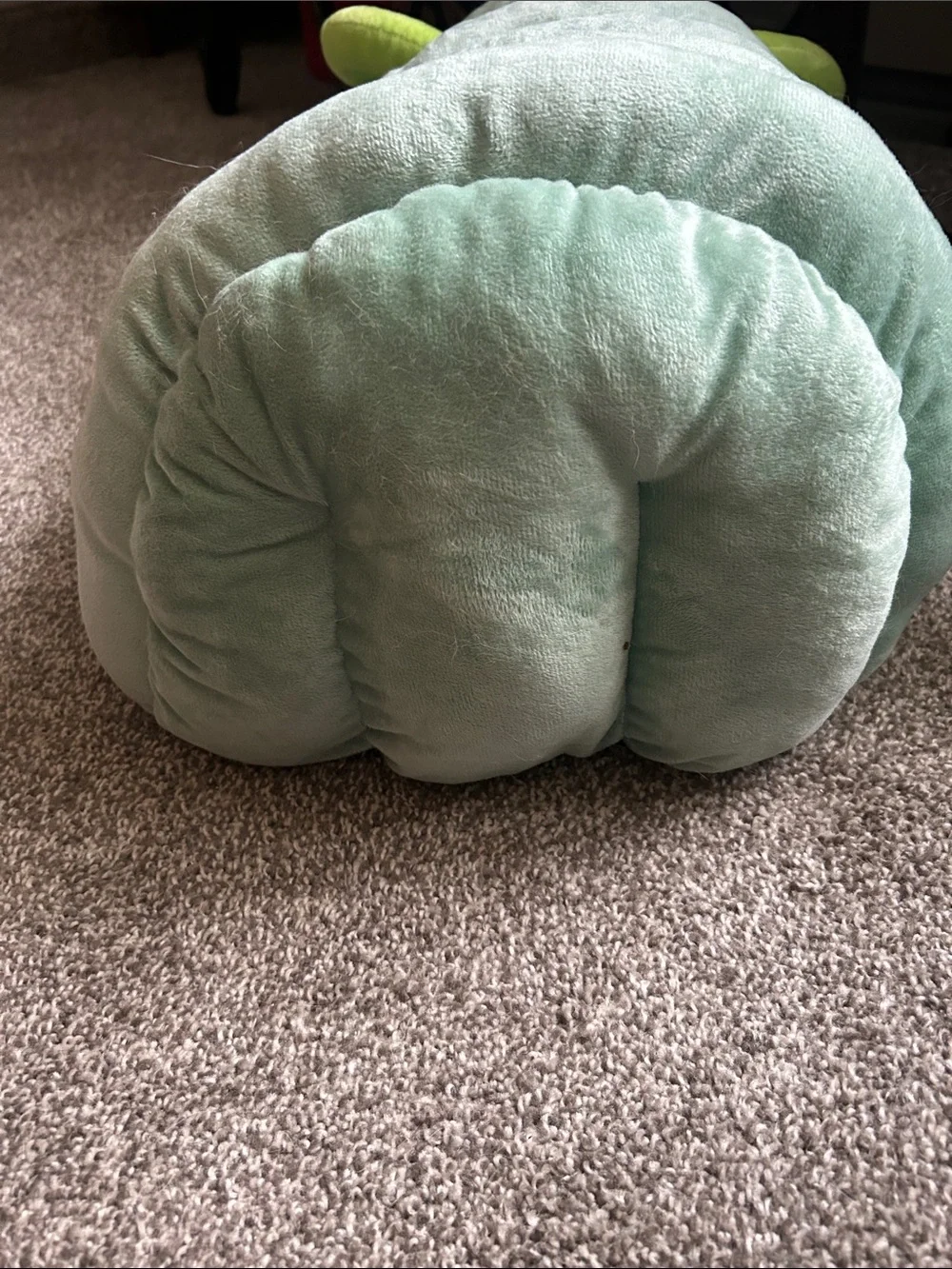 Cute caterpillar pet cave